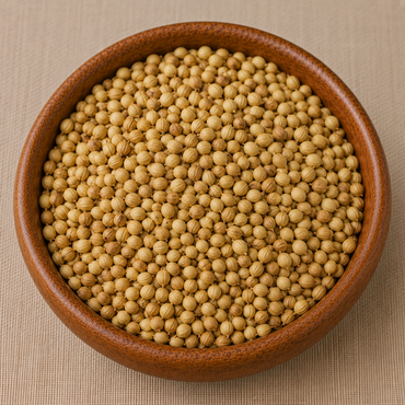 Whole dried coriander seeds dhania filling a round wooden bowl on a beige textured surface