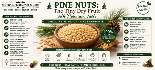 Pine Nuts: The Tiny Dry Fruit with Premium Taste